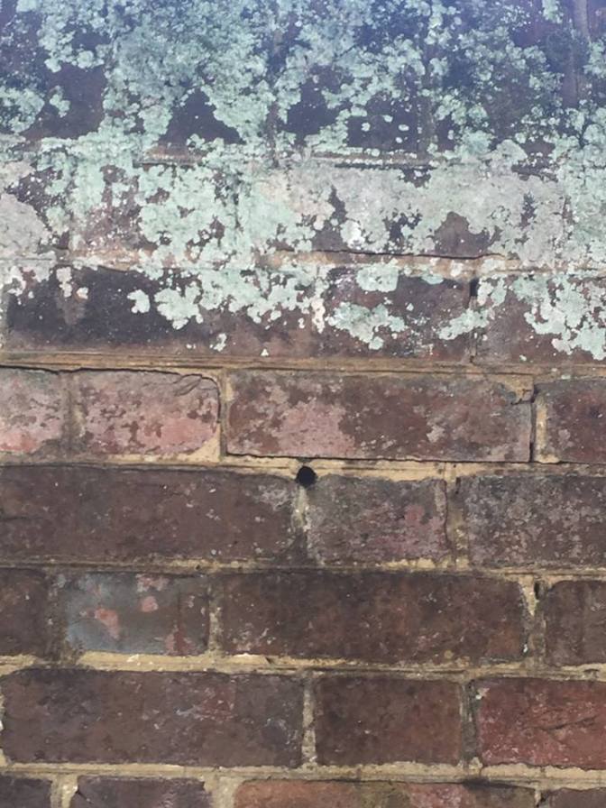 19884042_1505592986145528_7814520573325997721_n