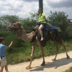 Camel Riding, Crab Legs, and Cradling a Kangaroo (Just A Bucket List Month)!